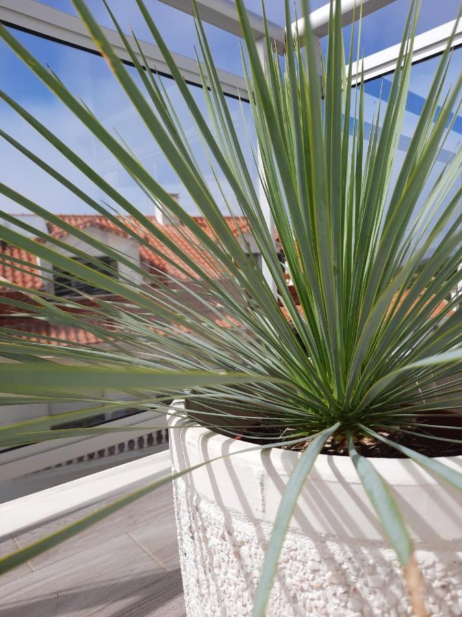 Sitius 5B - New Seaview Apartment With Rooftop Terrace In Historical Centre Sitio Da Nazaré Exterior foto